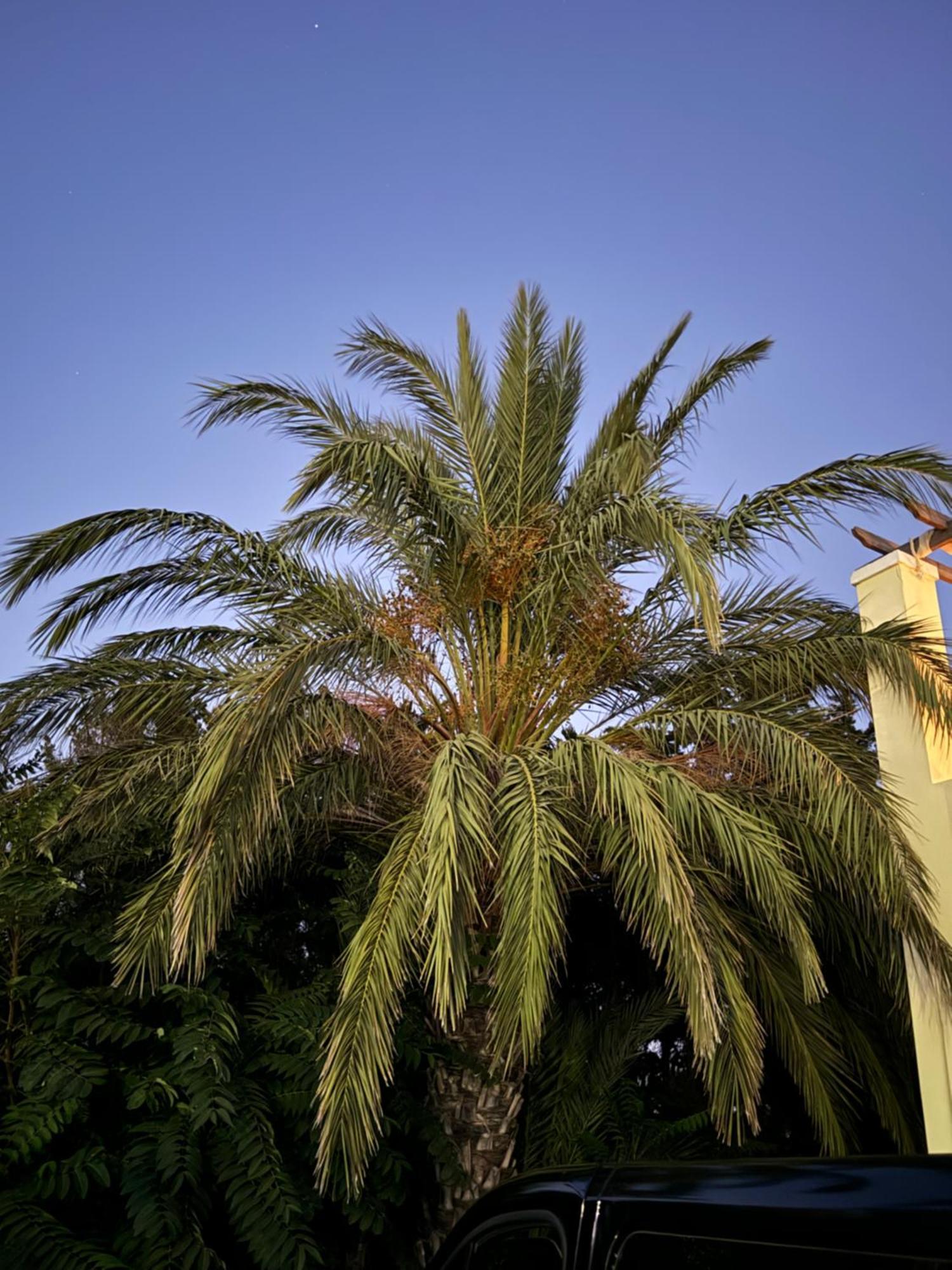 Apartment Breathe Easy Living Tigaki
